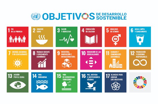 Ir a la noticia Aquara y los ODS de la ONU: 17 retos y 17 logros