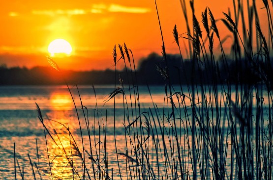 Ir a la noticia Aquara bets on transformation to save the planet